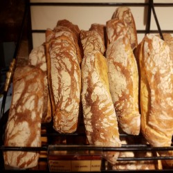 Pain Passion Biologique (Kg)